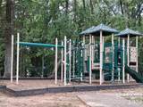 8214 Deodora Cedar Lane - Photo 7