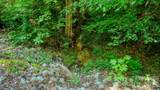 5018 Grassy Creek Road - Photo 17