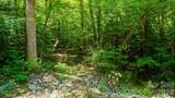 5018 Grassy Creek Road - Photo 18