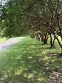 4225 Gold Hill Road - Photo 6