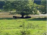 TBD Lewis Drive - Photo 22