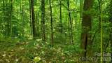 Lot 9 Hemlock Falls Drive - Photo 14