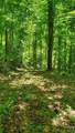 Lot 9 Hemlock Falls Drive - Photo 16
