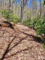 Lot 9 Hemlock Falls Drive - Photo 28