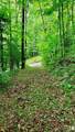 Lot 9 Hemlock Falls Drive - Photo 5