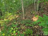TBD Henry Dingus Way - Photo 10