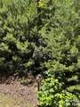 66 Boone Cove Road - Photo 1