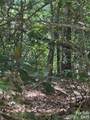 66 Boone Cove Road - Photo 3