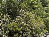 66 Boone Cove Road - Photo 4