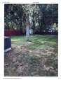 3418 Mathis Drive - Photo 4