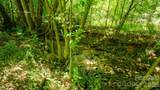 00 Ode Kerley Lane - Photo 5