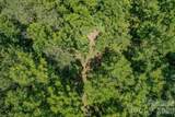 00 Ode Kerley Lane - Photo 10