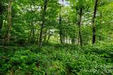 Lot 96 Cloud Spring Drive - Photo 12
