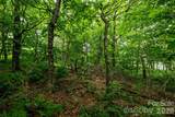 Lot 96 Cloud Spring Drive - Photo 10