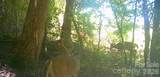 0 Pine Hill Avenue - Photo 18