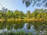 328 Wooded Valley Lane - Photo 45