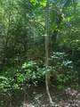 0 Pine Hill Avenue - Photo 16