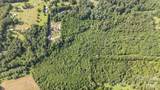 0 Pine Hill Avenue - Photo 8
