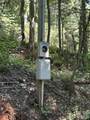 210/240 Gobbler Circle - Photo 4