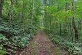4501 Cove Creek Road - Photo 37