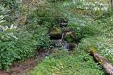 4501 Cove Creek Road - Photo 41