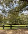 350 Vick Russell Lane - Photo 2