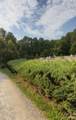 350 Vick Russell Lane - Photo 46