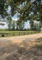 350 Vick Russell Lane - Photo 10