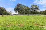 290 Dorothy Drive - Photo 43