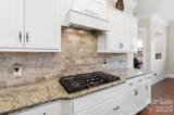 12726 Rusty Blackbird Way - Photo 14