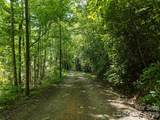 23.53 Acres Ballard Creek Road - Photo 3
