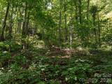23.53 Acres Ballard Creek Road - Photo 6
