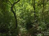 23.53 Acres Ballard Creek Road - Photo 7