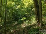 23.53 Acres Ballard Creek Road - Photo 8