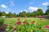 10724 Kingsview Drive - Photo 41
