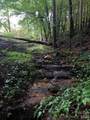 866 Georges Gap Road - Photo 22
