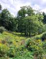 866 Georges Gap Road - Photo 27