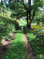 866 Georges Gap Road - Photo 28