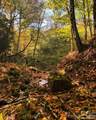 866 Georges Gap Road - Photo 34