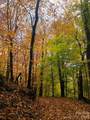 866 Georges Gap Road - Photo 36