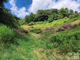 866 Georges Gap Road - Photo 6