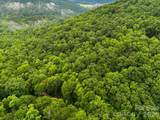 TBD Hemlock Circle - Photo 20