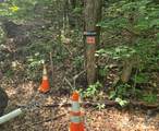000 Rosemount Road - Photo 13