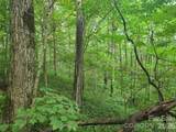 000 Rosemount Road - Photo 10