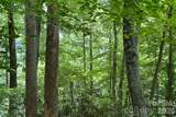 Lot #160 Hunnicut Mountain Road - Photo 16