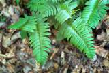Lot #160 Hunnicut Mountain Road - Photo 17