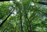 Lot #160 Hunnicut Mountain Road - Photo 20