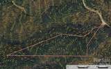 TBD Casey Mountain Road - Photo 8