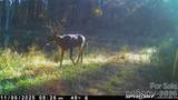 1440-2 Carl Taylor Road - Photo 15