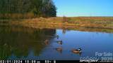 1440-2 Carl Taylor Road - Photo 17